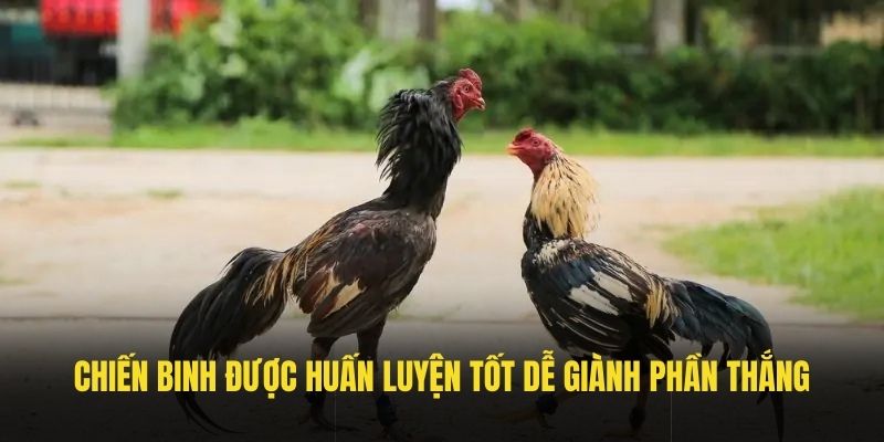 Chiến binh được huấn luyện tốt dễ giành phần thắng