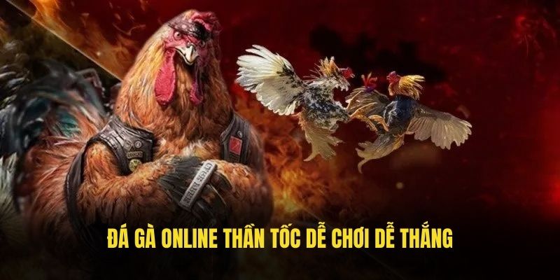 Đá gà online thần tốc dễ chơi dễ thắng