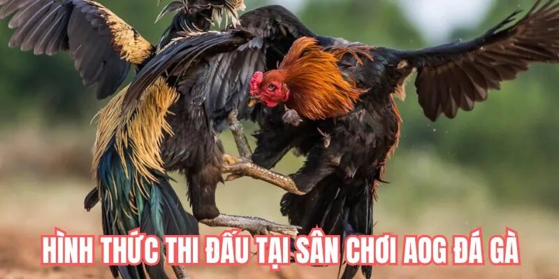 Ba siêu phẩm được yêu thích nhất tại sảnh cược