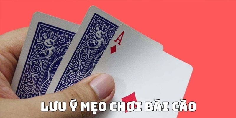 Bật mí vài lưu ý quan trọng khi tham gia bài cào