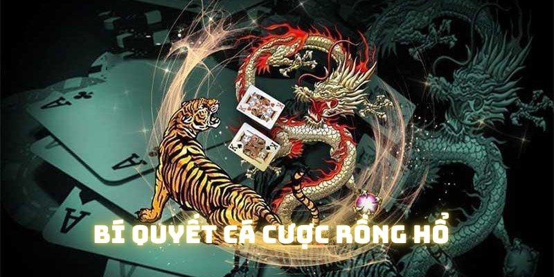 Người chơi tham gia rồng hổ nên phân tích kết quả từ các ván trước