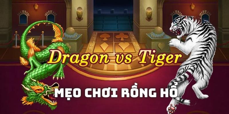 Thông tin tổng quan về Mẹo chơi rồng hổ