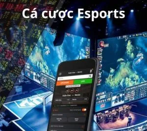 Cá cược Esports – Top 1 trò chơi thú vị nhất tại 789bet