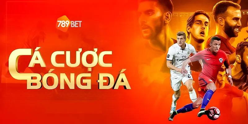 Cá độ bóng đá trực tuyến