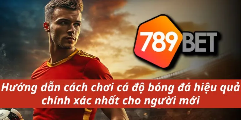 Hướng dẫn cách chơi cá độ bóng đá hiệu quả chính xác nhất cho người mới